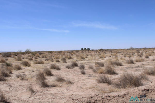 CHALLA RD SW, DEMING NM 88030, DEMING, NM 88030, photo 3 of 11