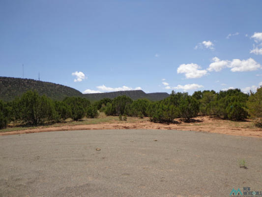 TR 1B CAMINO DEL SOL ROAD, BERNAL, NM 87569 - Image 1