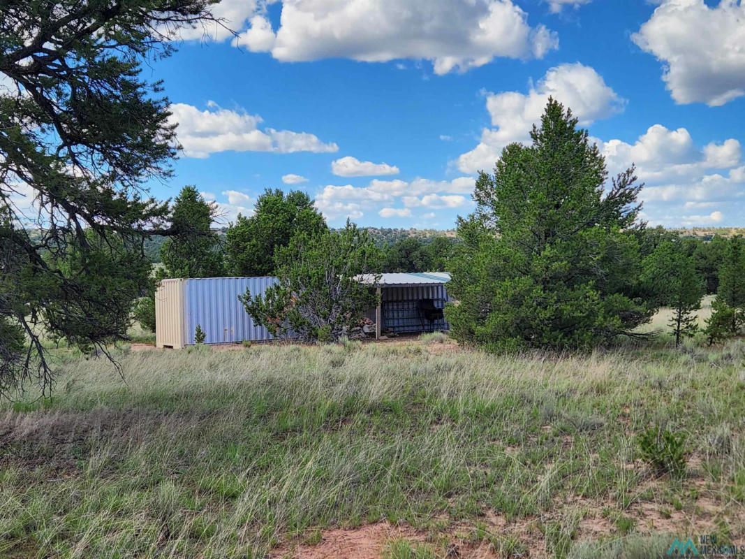 13 JOHNSTON DRIVE, PIE TOWN, NM 87827, photo 1 of 19