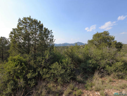 26 BABBLING BRK, SILVER CITY, NM 88061 - Image 1