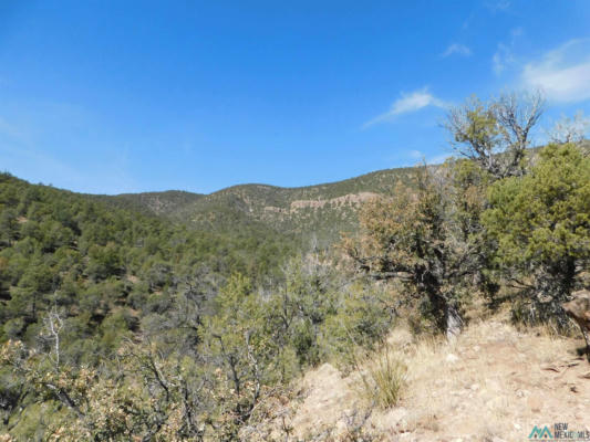LOT 18 RIVERS WEST ROAD, RESERVE, NM 87830, photo 5 of 15