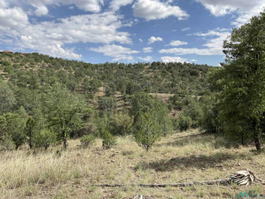 78 LOT EVEREST POINT CIRCLE, SILVER CITY, NM 88061 - Image 1