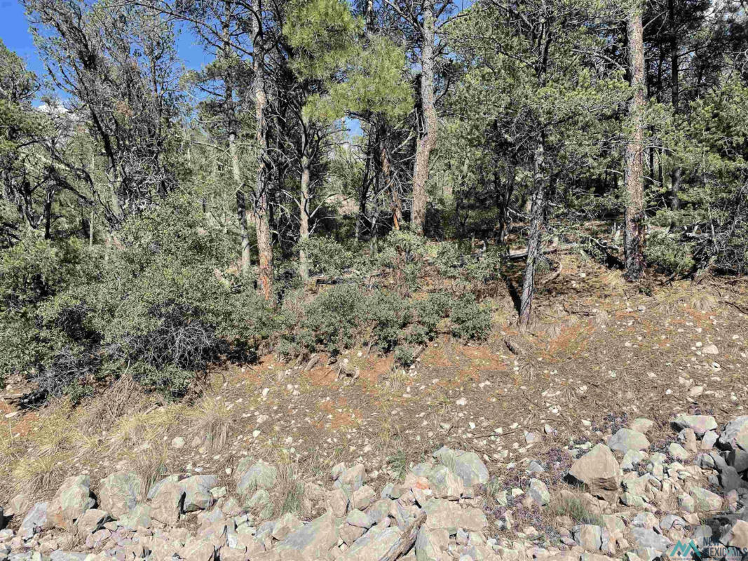 244 SHALLOW CREEK RD, TIMBERON, NM 88350, photo 1