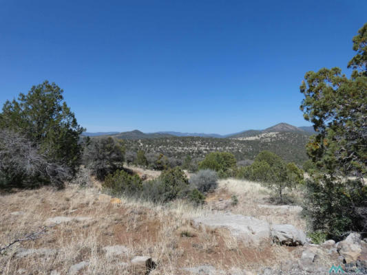 25 FOREST 858 ROAD, SILVER CITY, NM 88061, photo 4 of 37