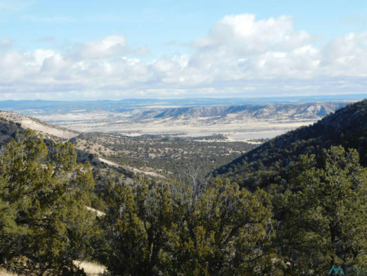 139 AGUA FRIA LOOP, QUEMADO, NM 87829, photo 2 of 19