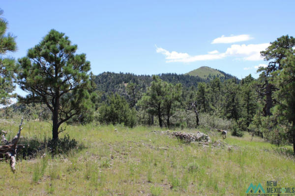 MAGDALENA MT MAGDALENA MOUNTAIN TOP, MAGDALENA, NM 87825, photo 5 of 12