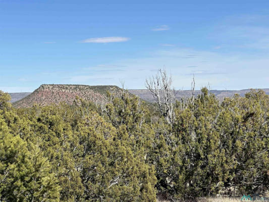 5.045 ACRES FRONTAGE ROAD 2116 ROAD, SERAFINA, NM 87569, photo 4 of 8