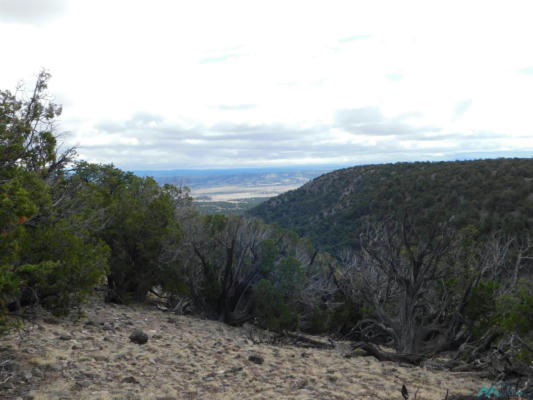 139 AGUA FRIA LOOP, QUEMADO, NM 87829, photo 5 of 19