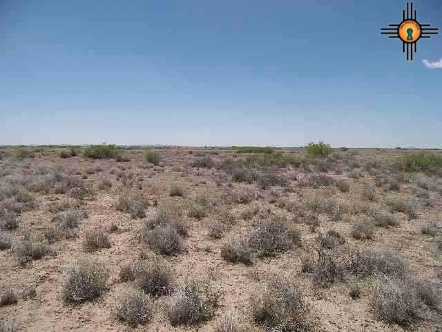 NE OF COLUMBUS, COLUMBUS NM 88029, COLUMBUS, NM 88029, photo 1 of 5