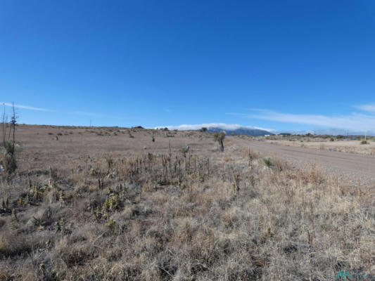 222 LOT KRISTINE LANE, SILVER CITY, NM 88061, photo 3 of 5