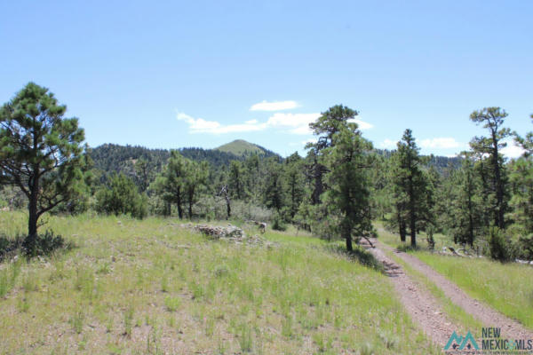 MAGDALENA MT MAGDALENA MOUNTAIN TOP, MAGDALENA, NM 87825, photo 4 of 12