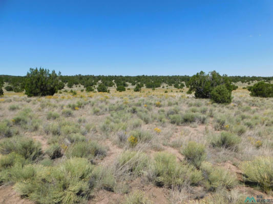 LOT 12 PINION TRAILS, PIE TOWN, NM 87827, photo 2 of 26