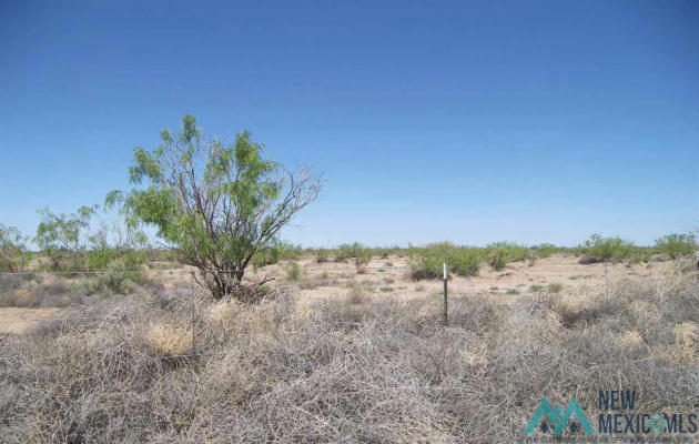 INDIAN WELLS LOT 2, DEMING NM 88030, DEMING, NM 88030, photo 2 of 11