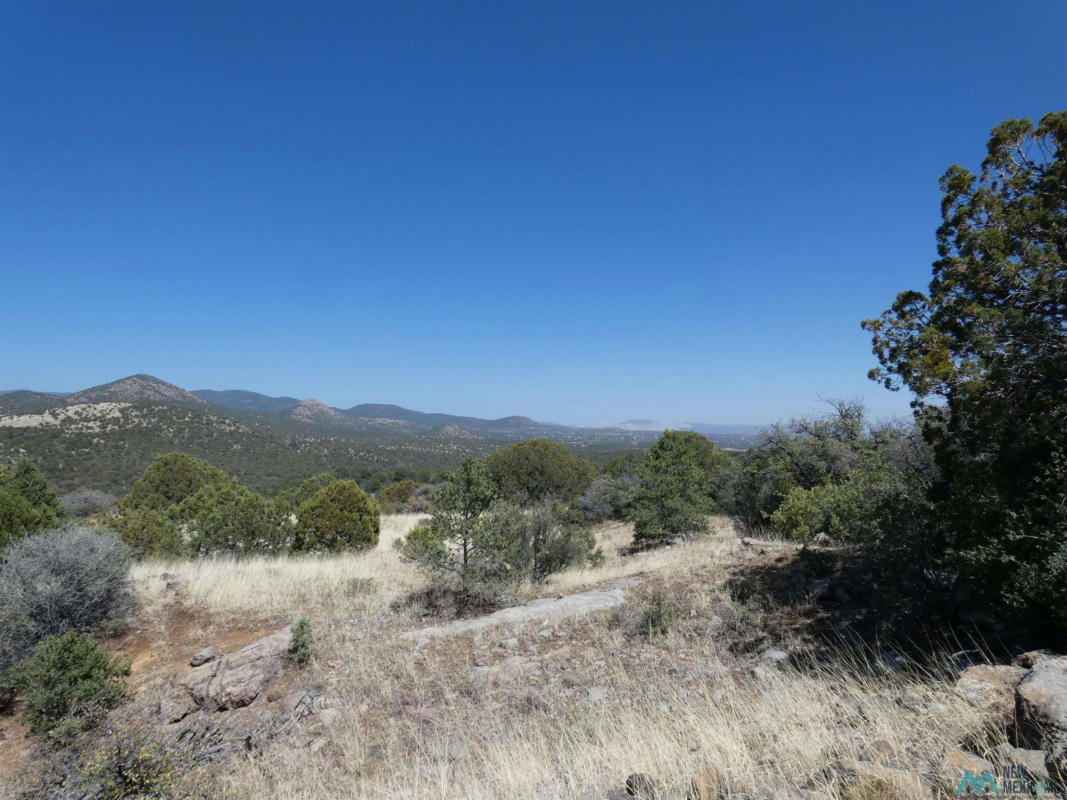 25 FOREST 858 ROAD, SILVER CITY, NM 88061, photo 1 of 37