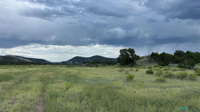 NM - 603 ROAD, QUEMADO NM 87829, QUEMADO, NM 87829 - Image 1