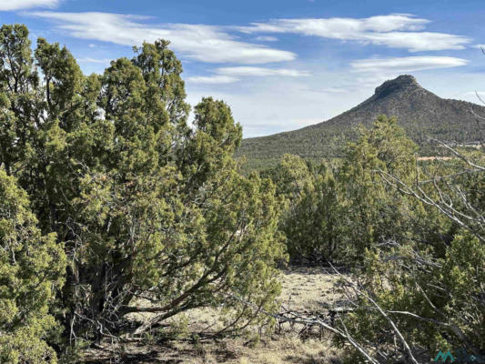 5.045 ACRES FRONTAGE ROAD 2116 ROAD, SERAFINA, NM 87569 - Image 1