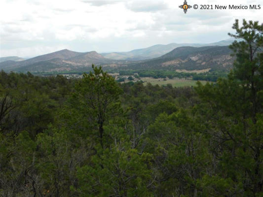 LOT 27 & 28 W RIVERS ROAD, RESERVE, NM 87830, photo 2 of 18